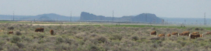 Poplars Ranch